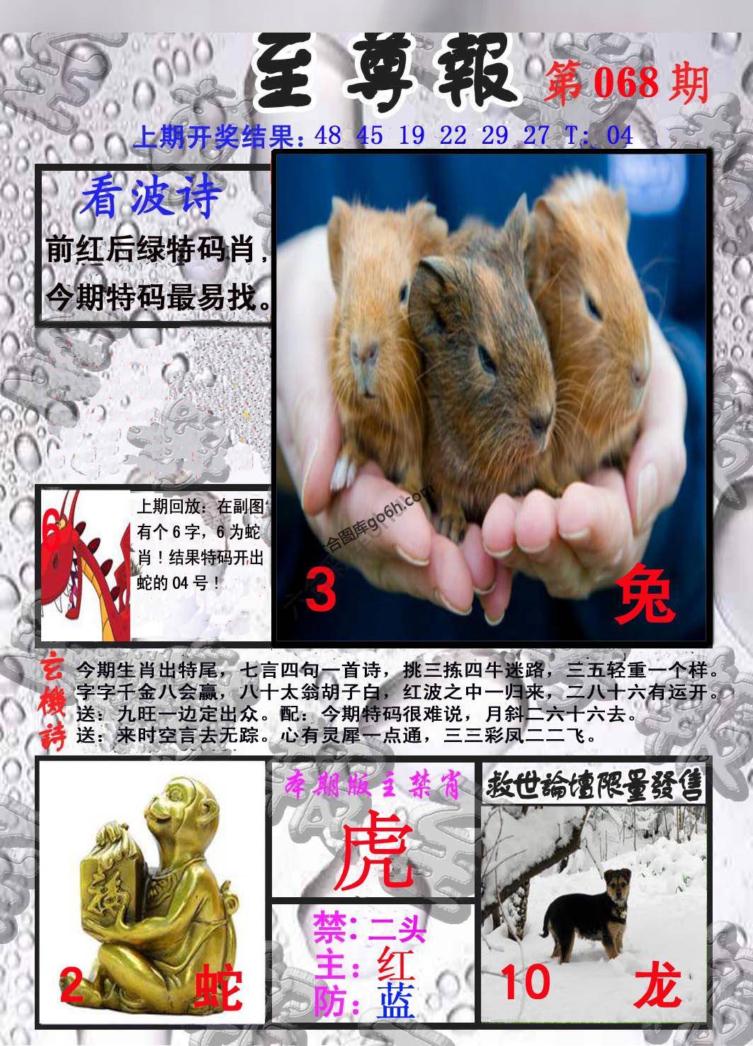 至尊报