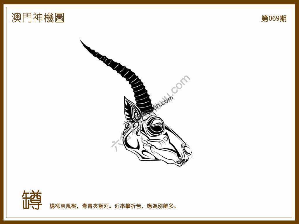 澳门神机图