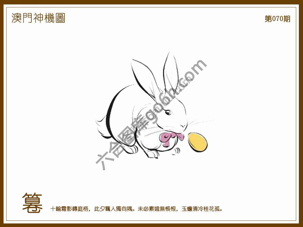澳门神机图
