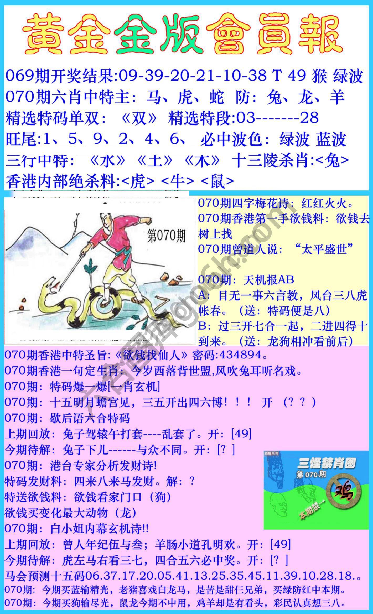 黄金金版会员报