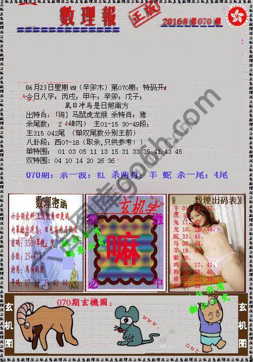 数理报