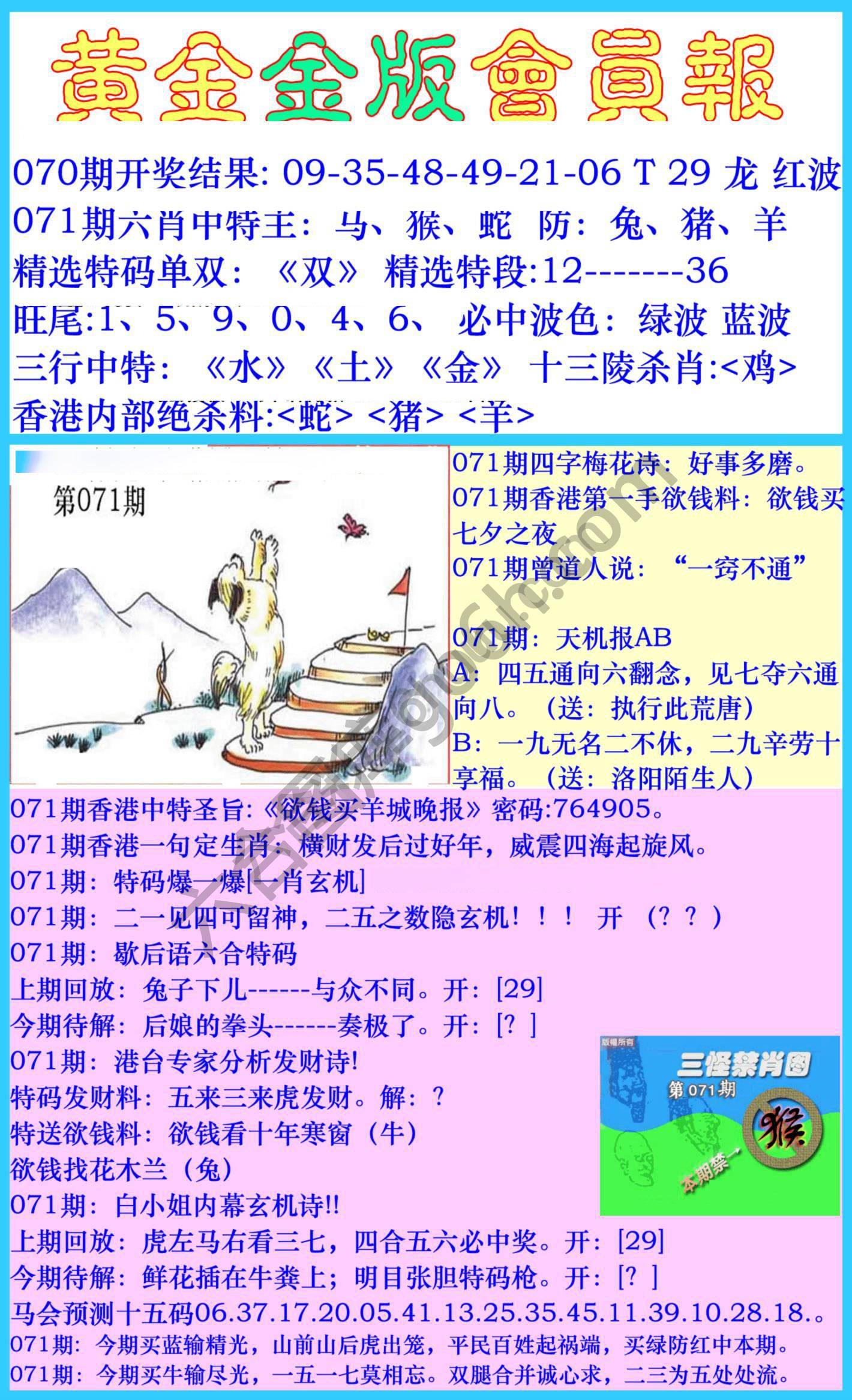 黄金金版会员报