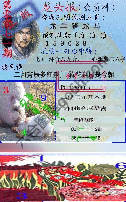 龙头报
