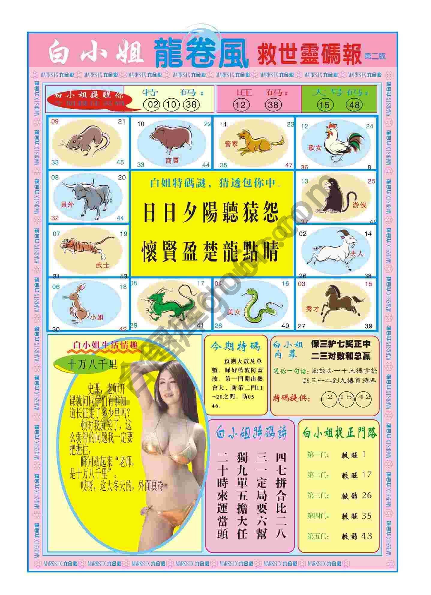 白小姐救世灵码报