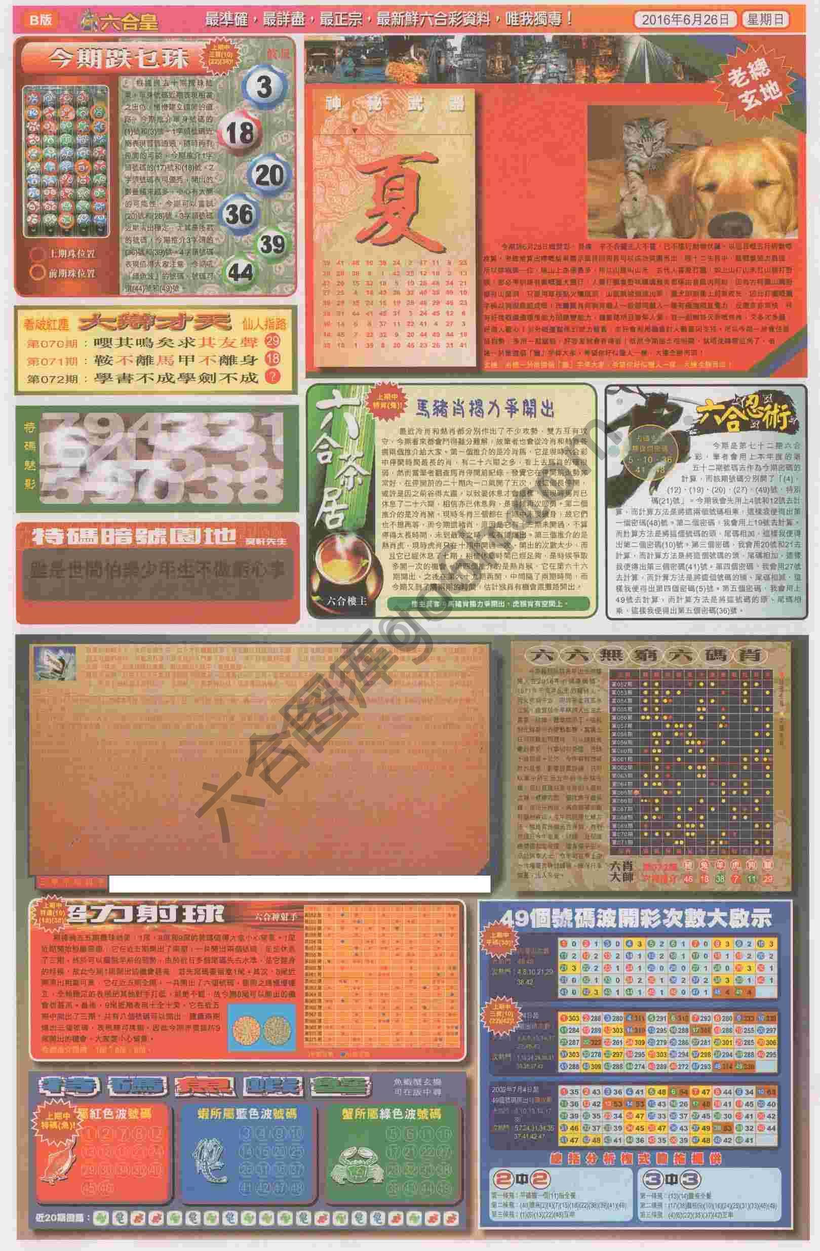 六合皇