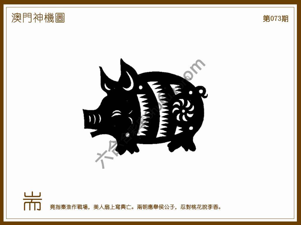澳门神机图