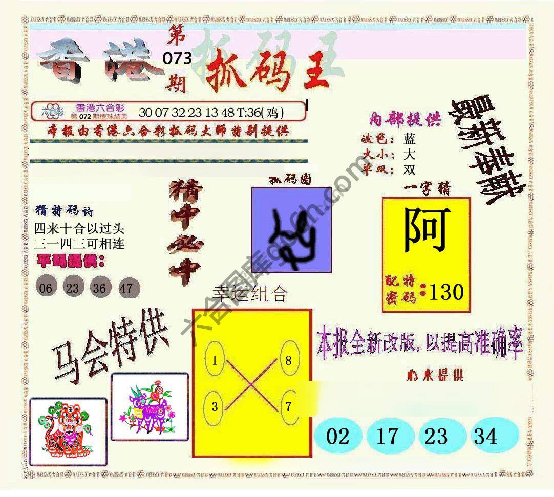 新抓码王