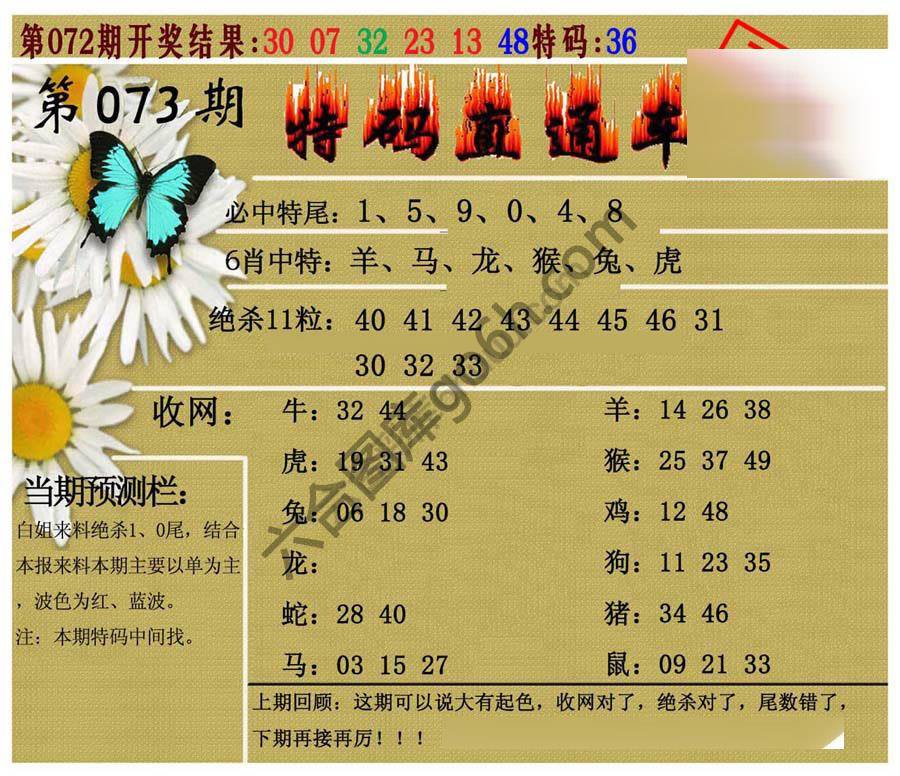 特码直通车