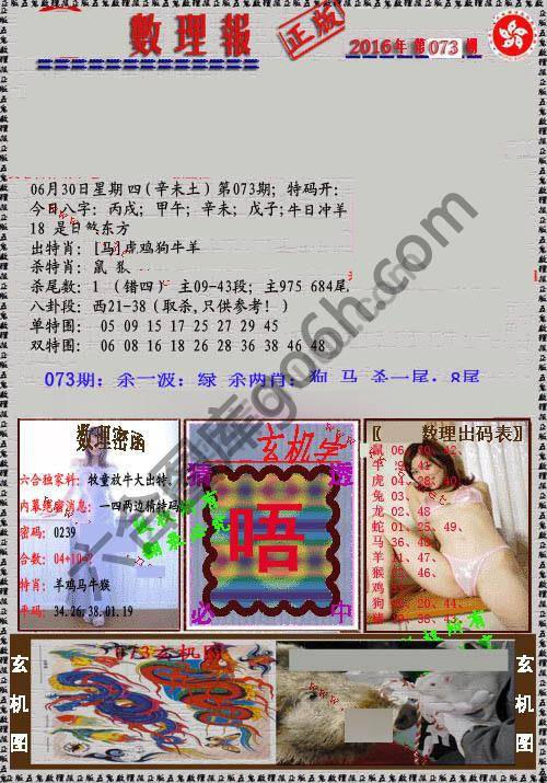 数理报
