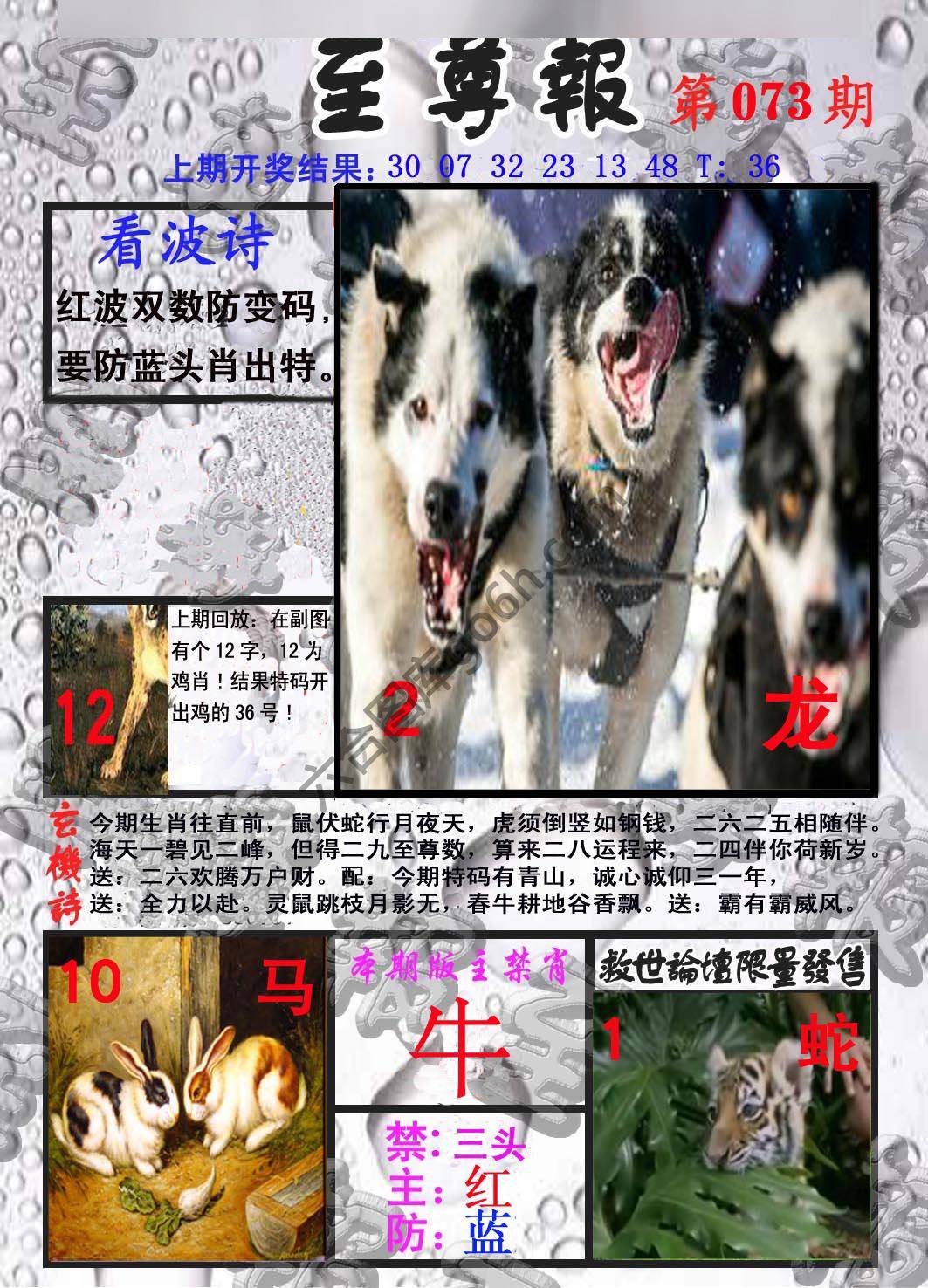 至尊报