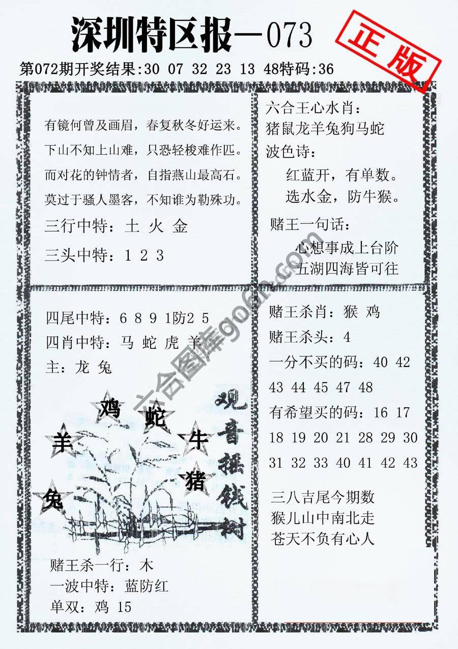 深圳特区报