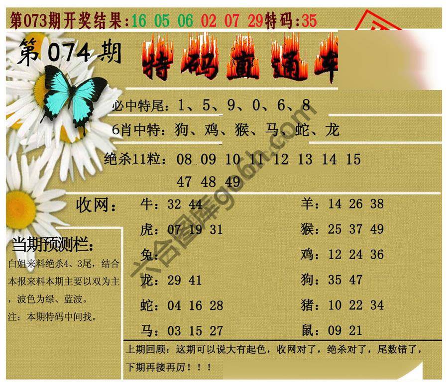 特码直通车