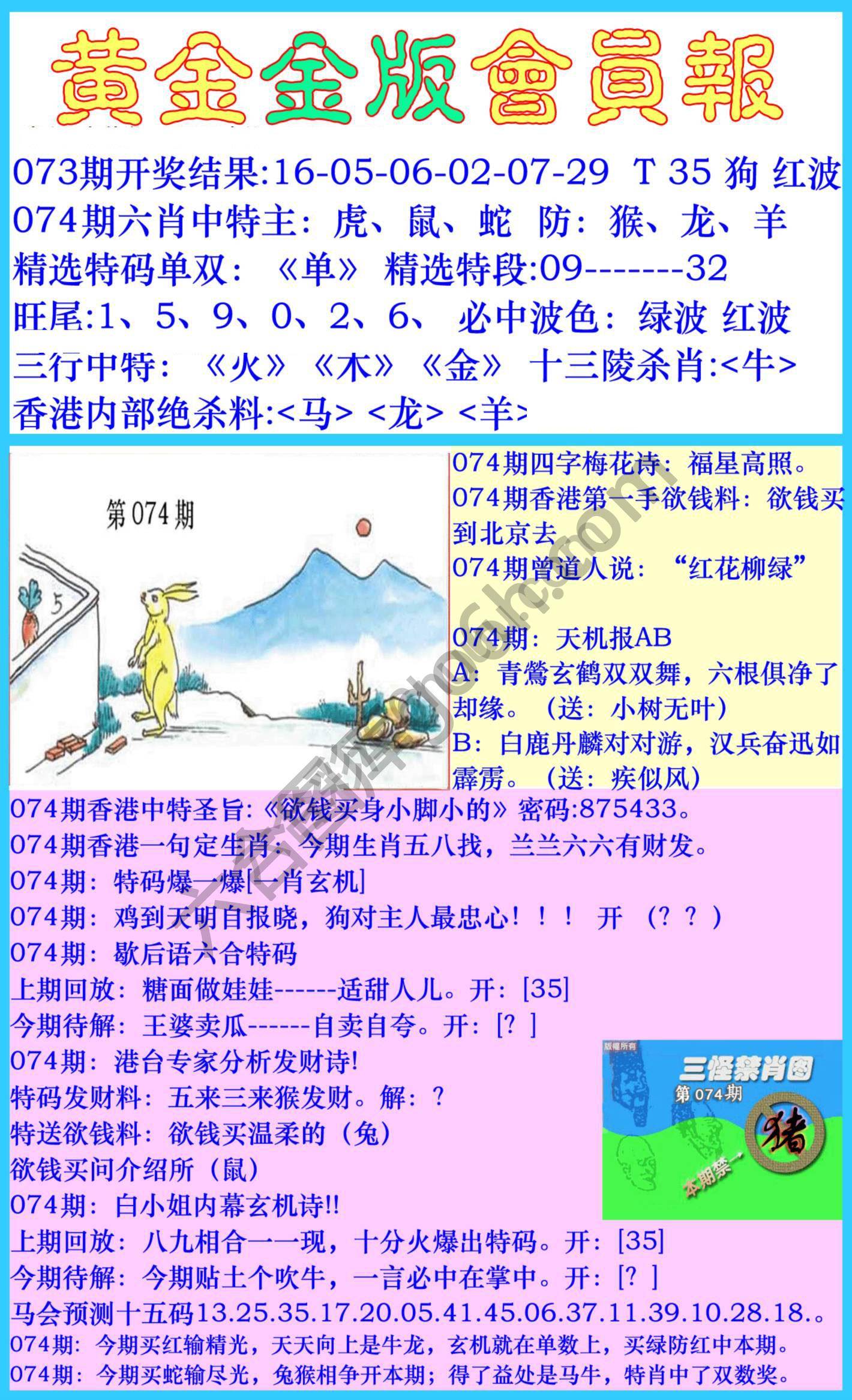 黄金金版会员报