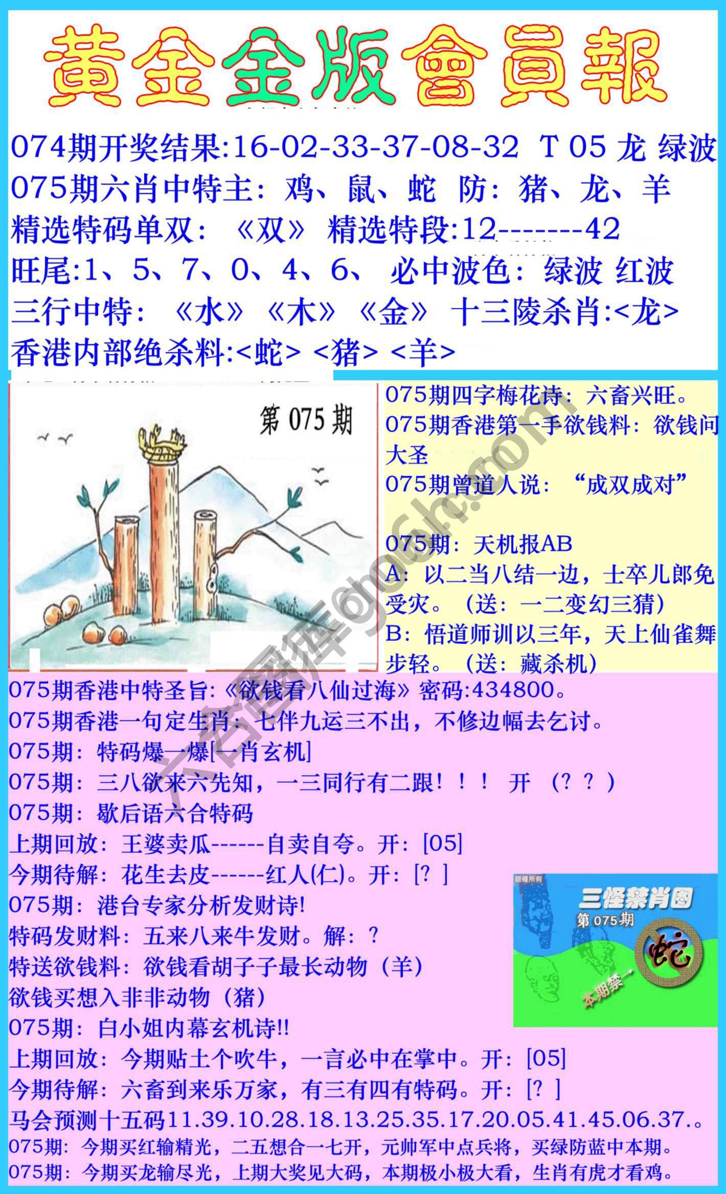 黄金金版会员报