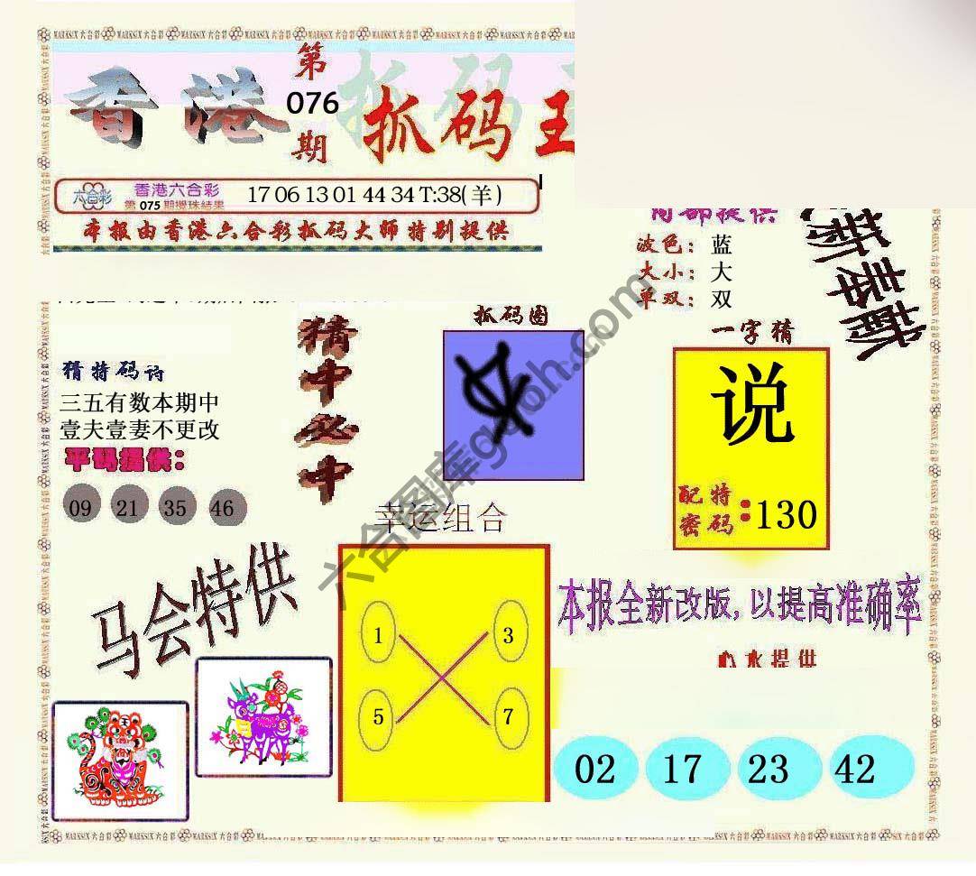 新抓码王