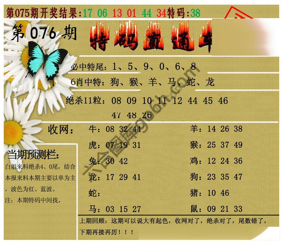 特码直通车