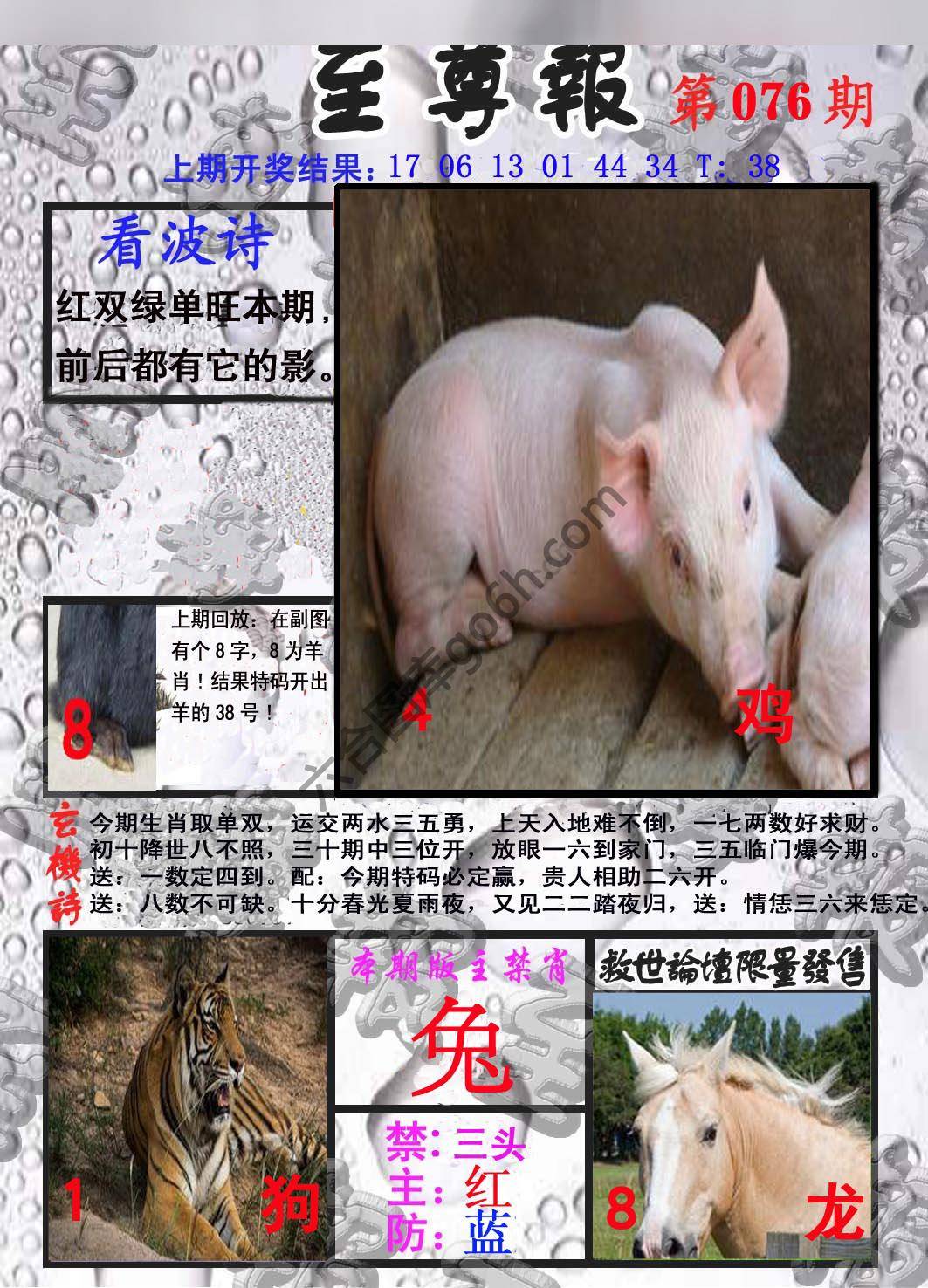 至尊报