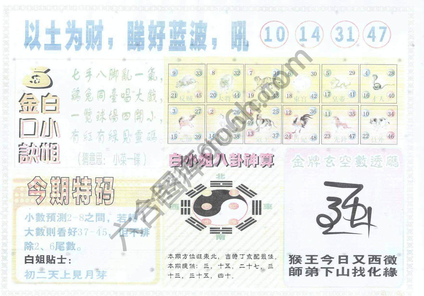白姐内幕