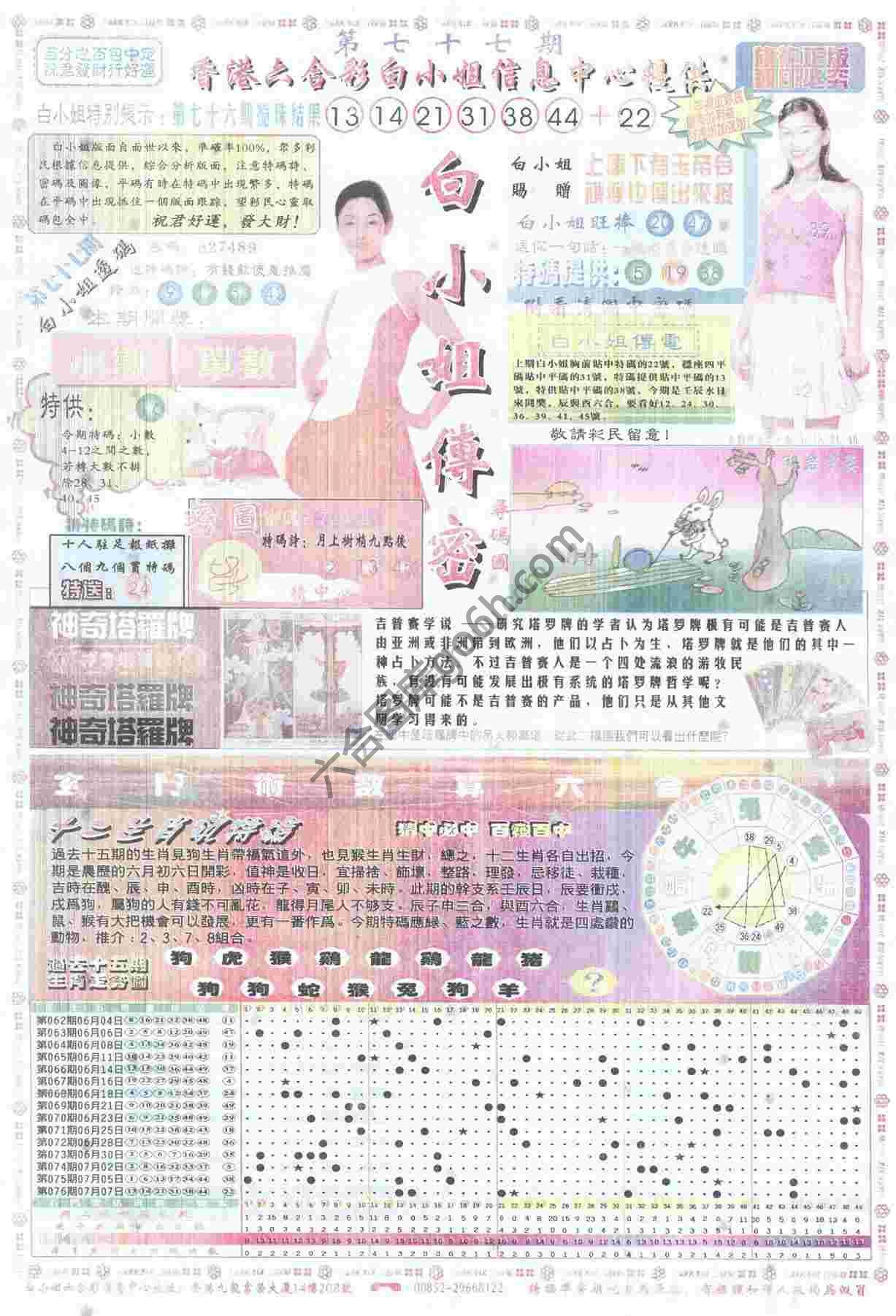 白小姐传密