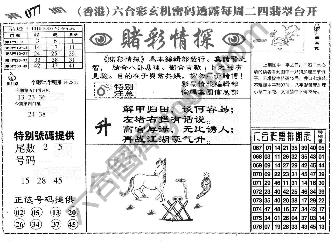 赌彩情探