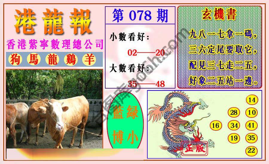 港龙报