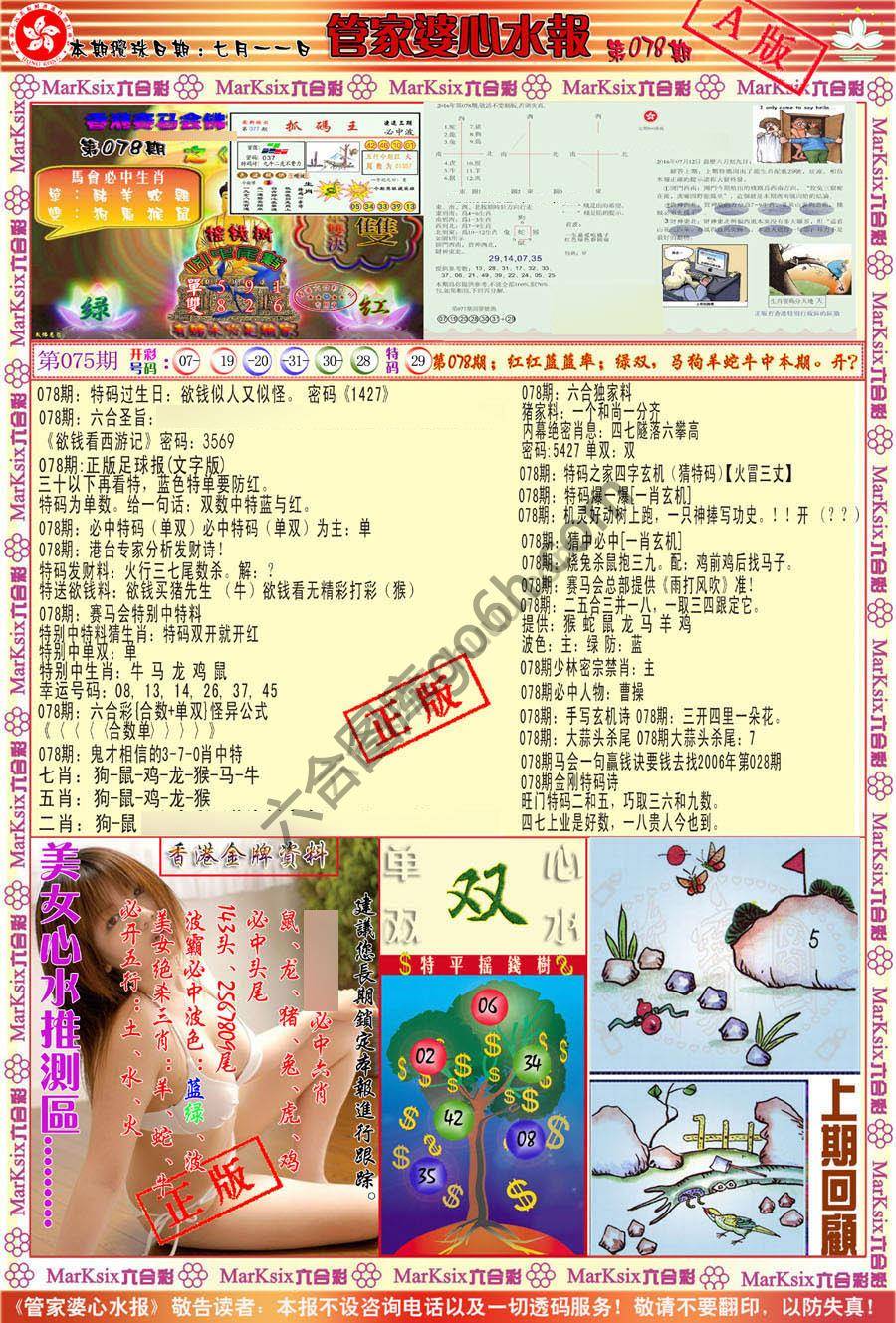管家婆心水报