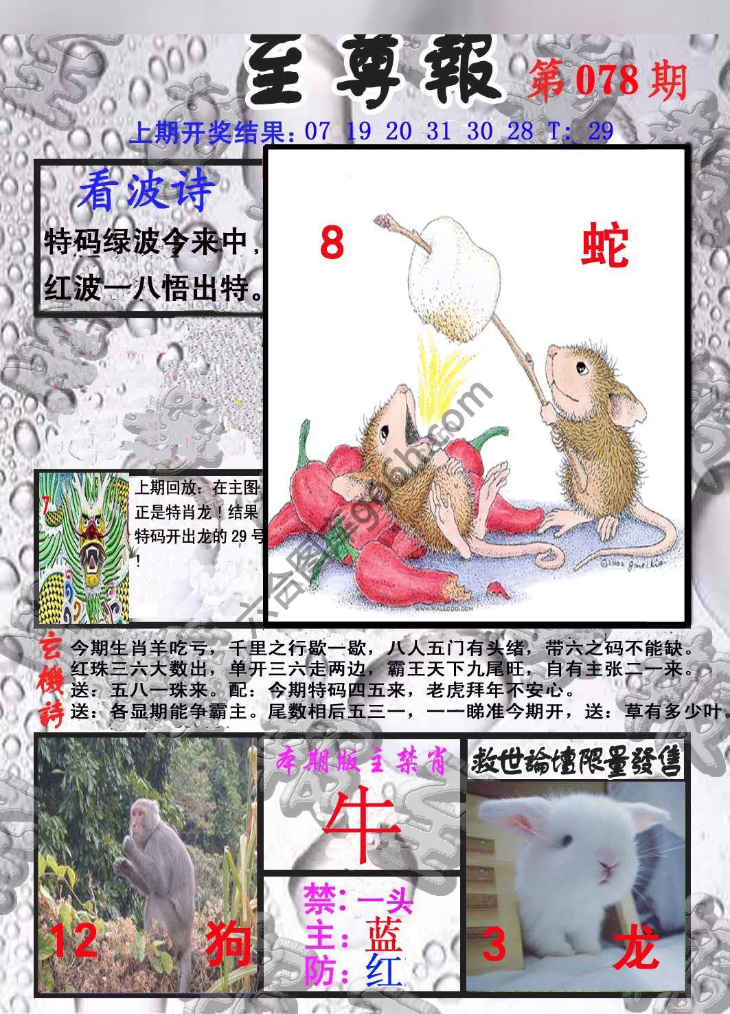 至尊报