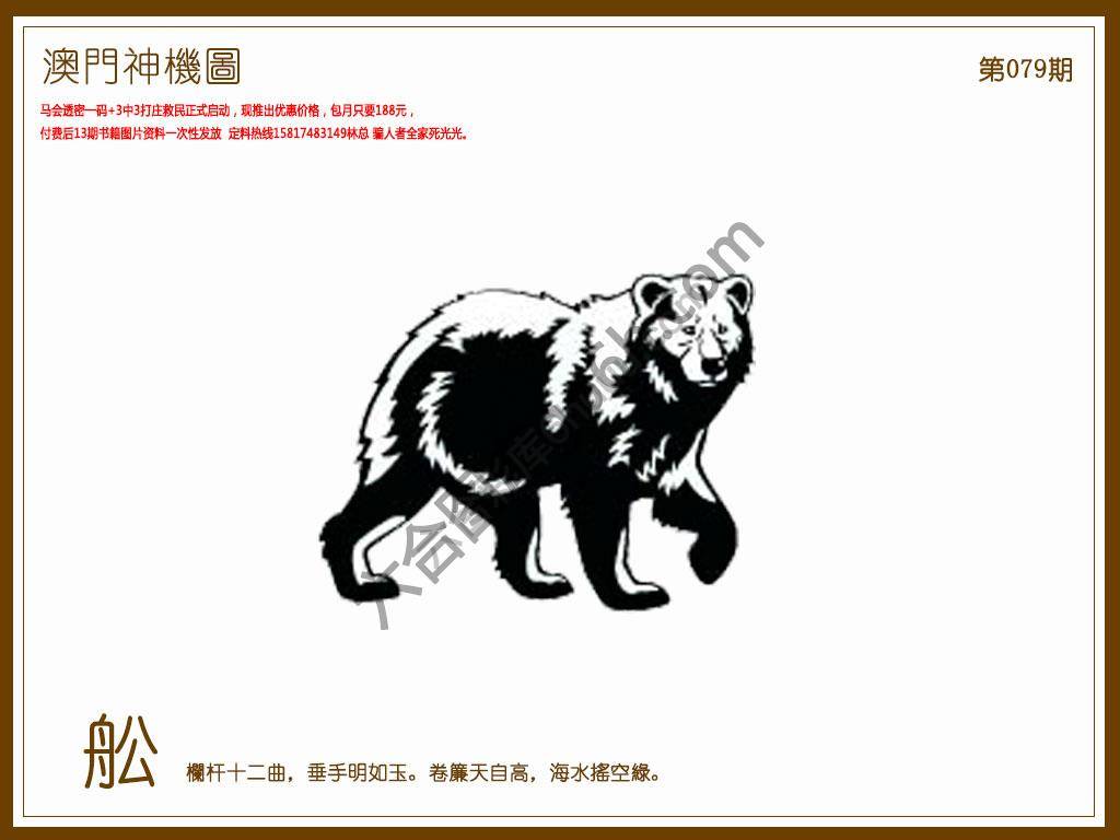 澳门神机图