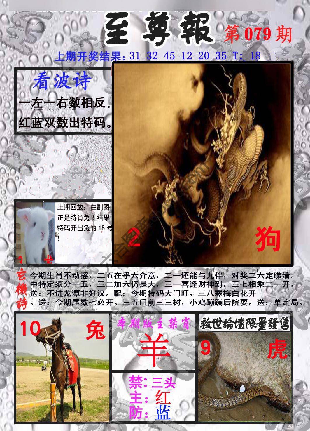 至尊报