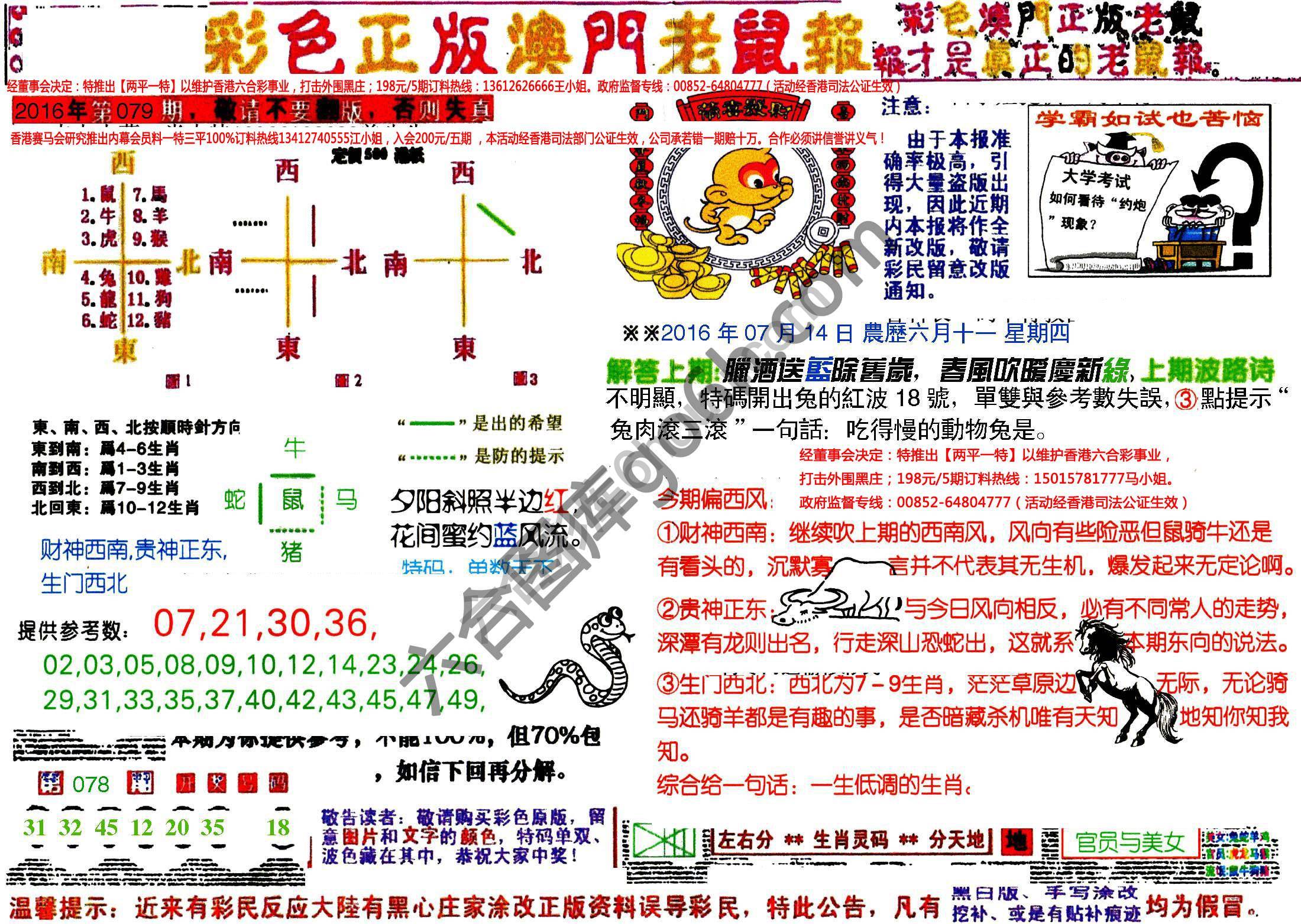 澳门老鼠报