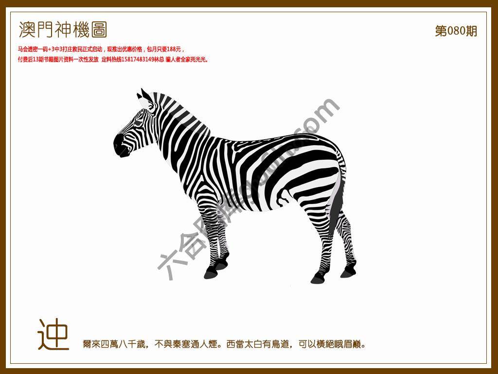 澳门神机图