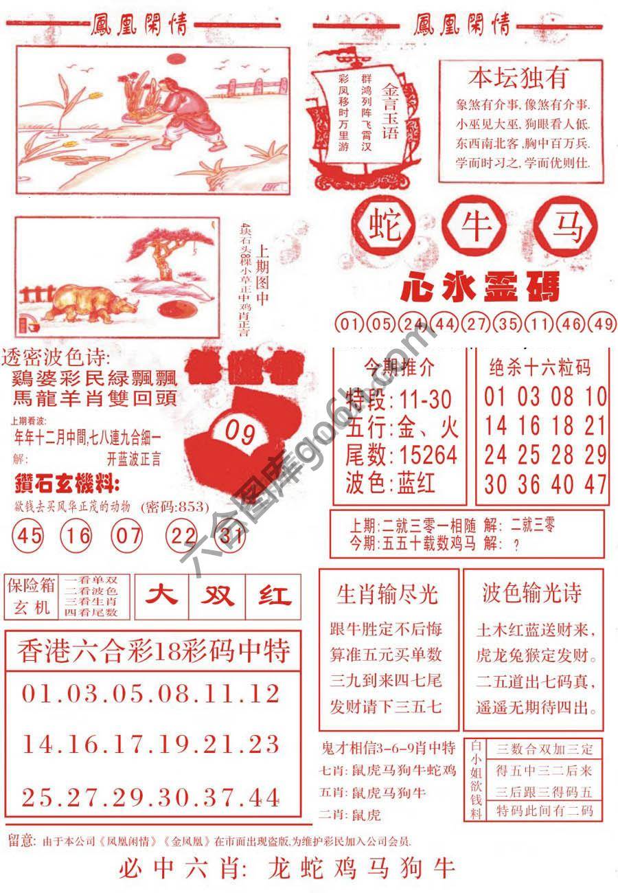 凤凰闲情