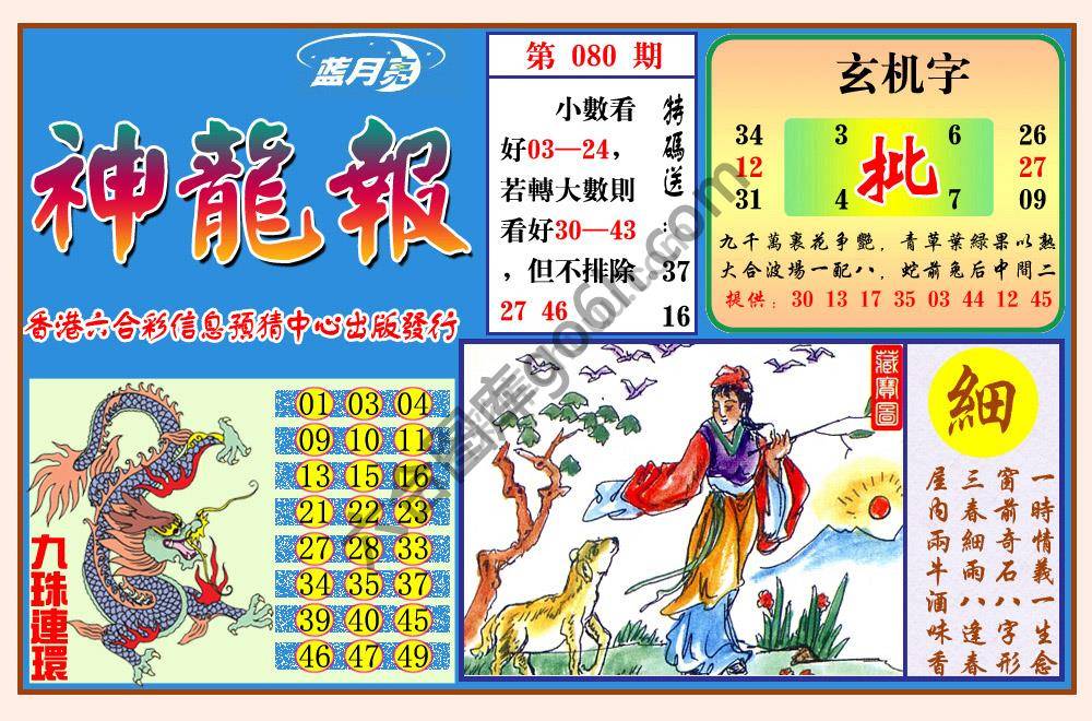 蓝月亮神龙报