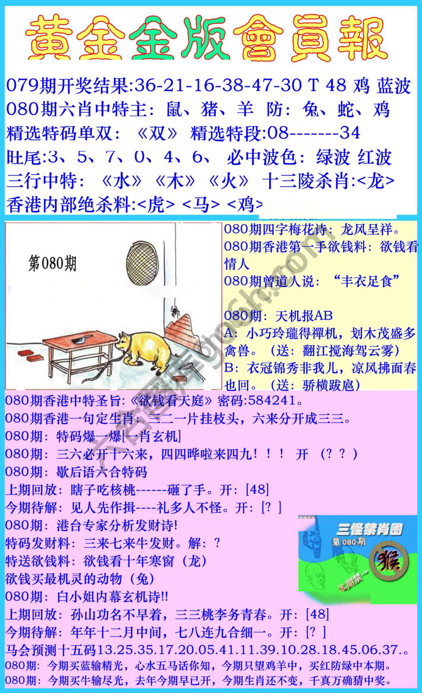 黄金金版会员报