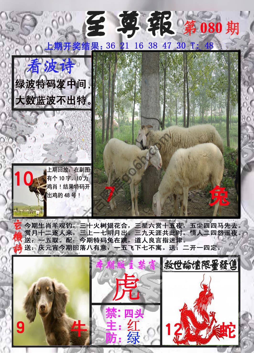 至尊报