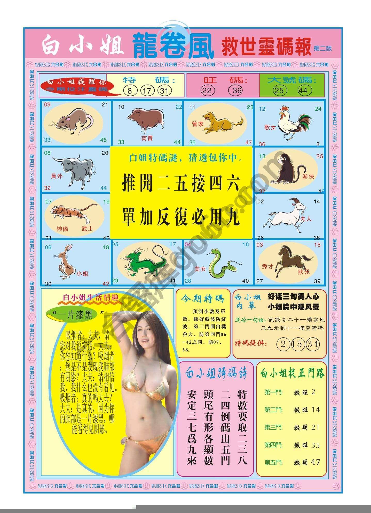 白小姐龙卷风