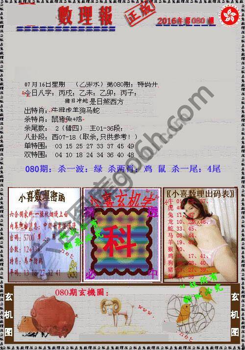数理报