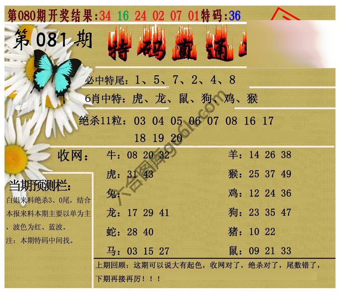 特码直通车