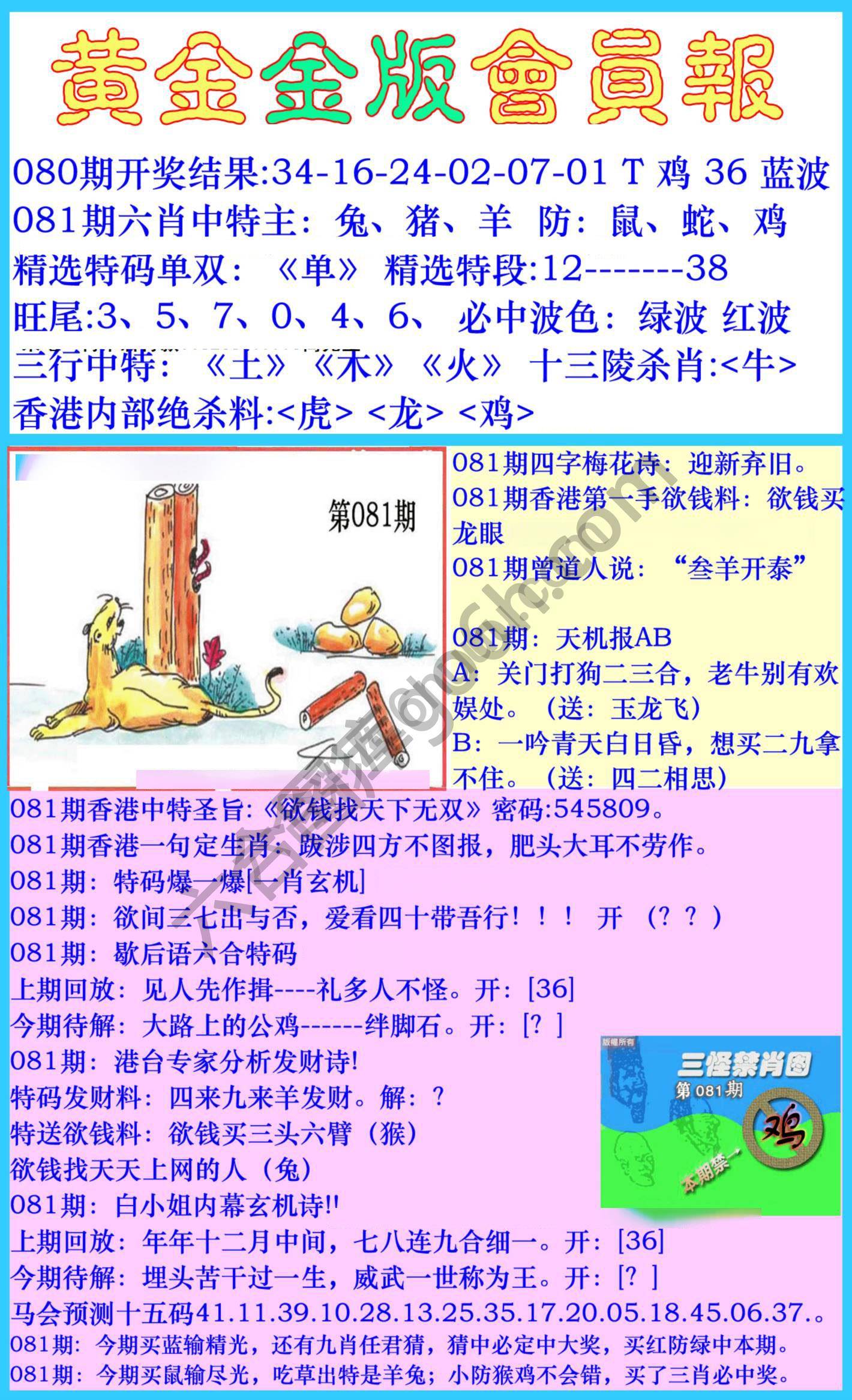 黄金金版会员报