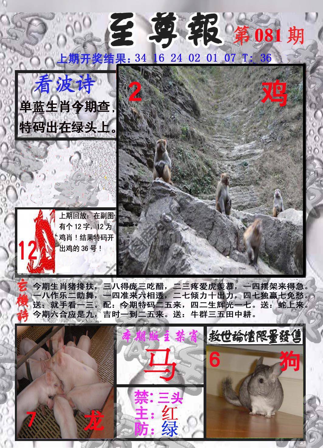 至尊报