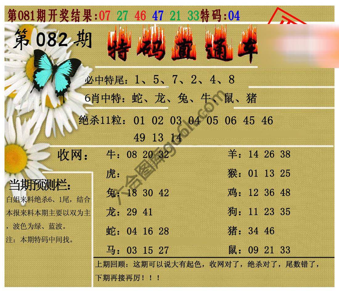 特码直通车