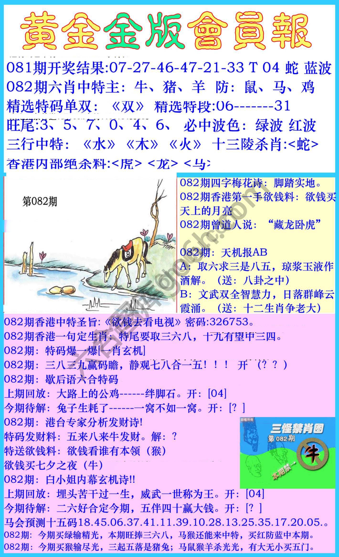 黄金金版会员报