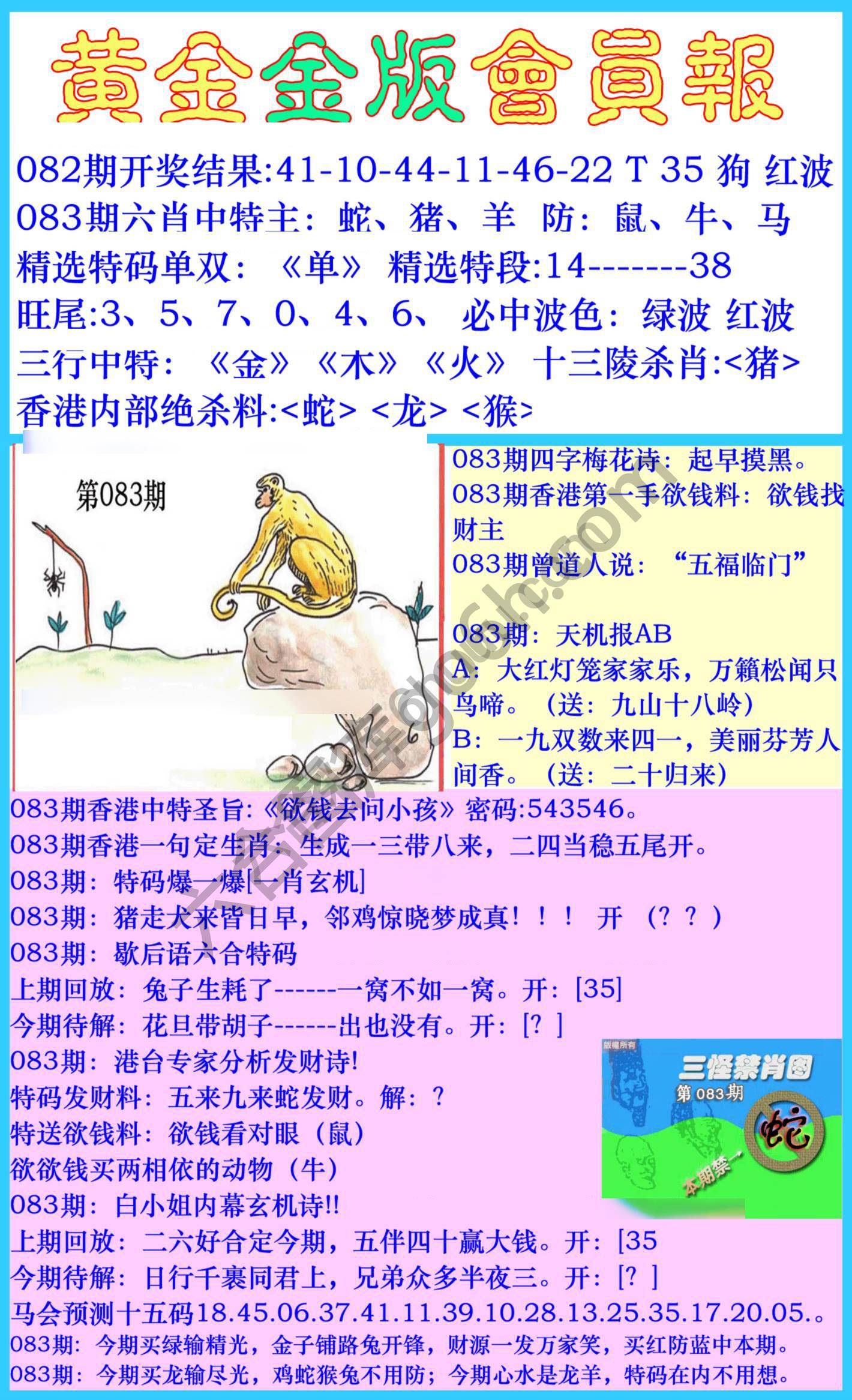 黄金金版会员报