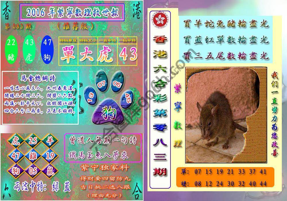 数理救世报