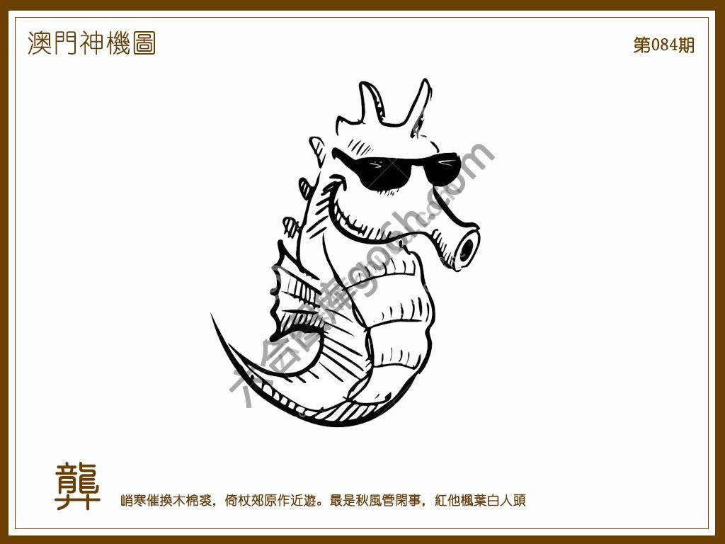 澳门神机图
