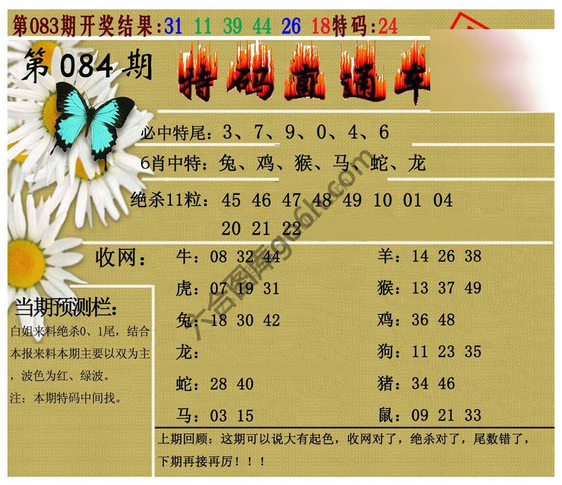 特码直通车