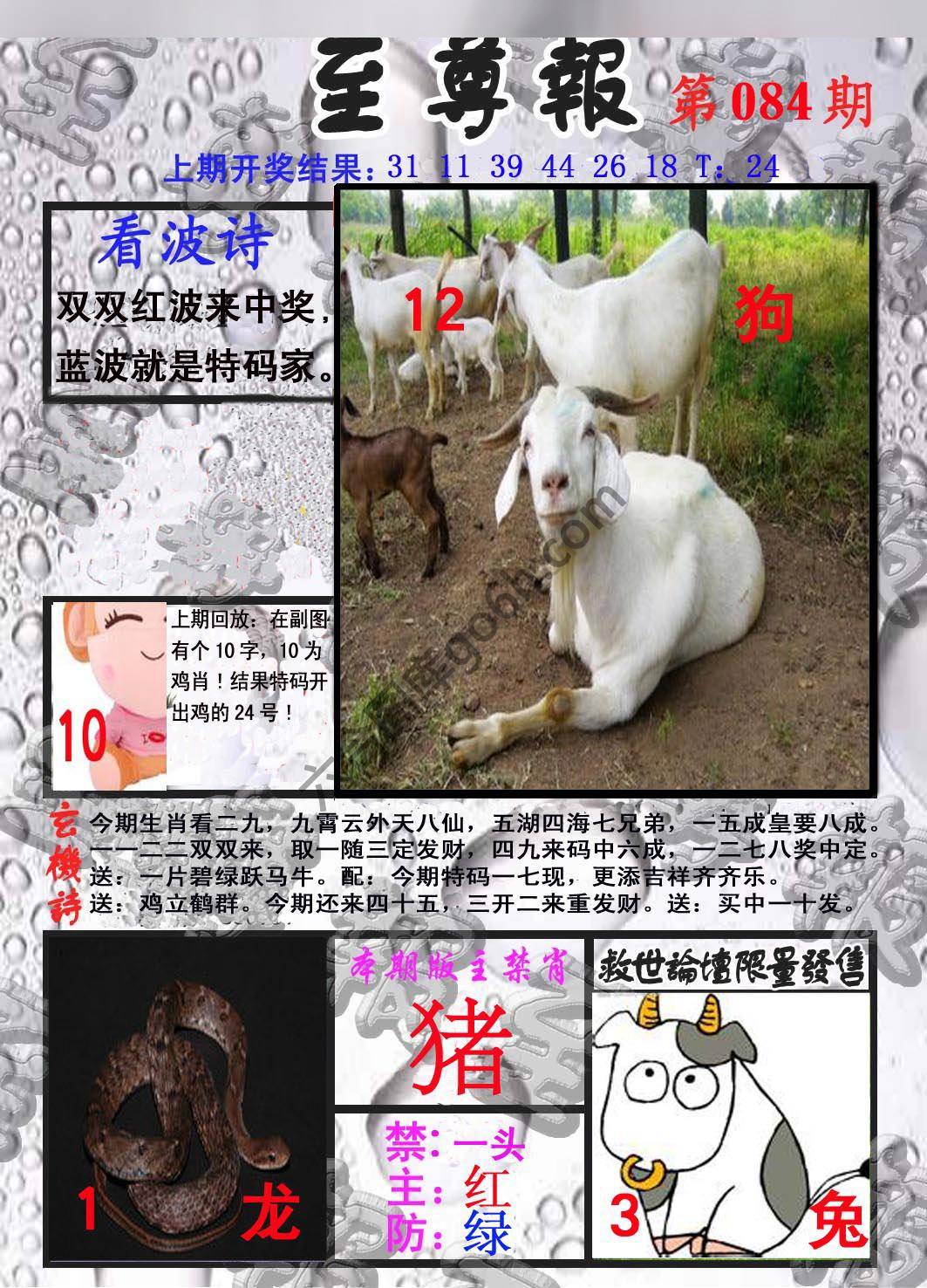 至尊报