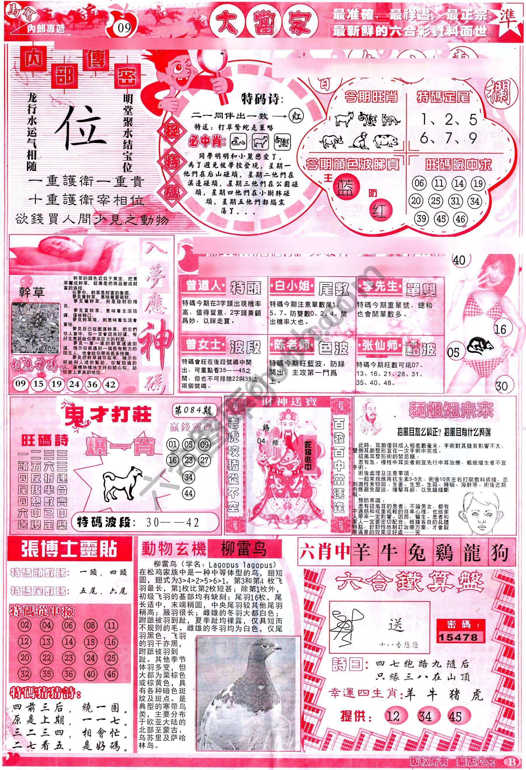 识破玄机
