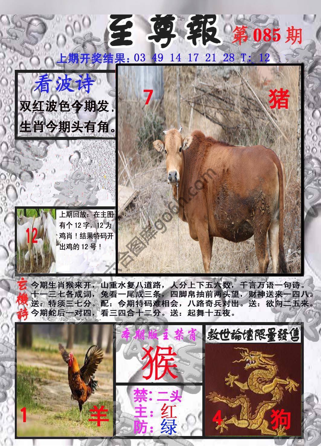 至尊报