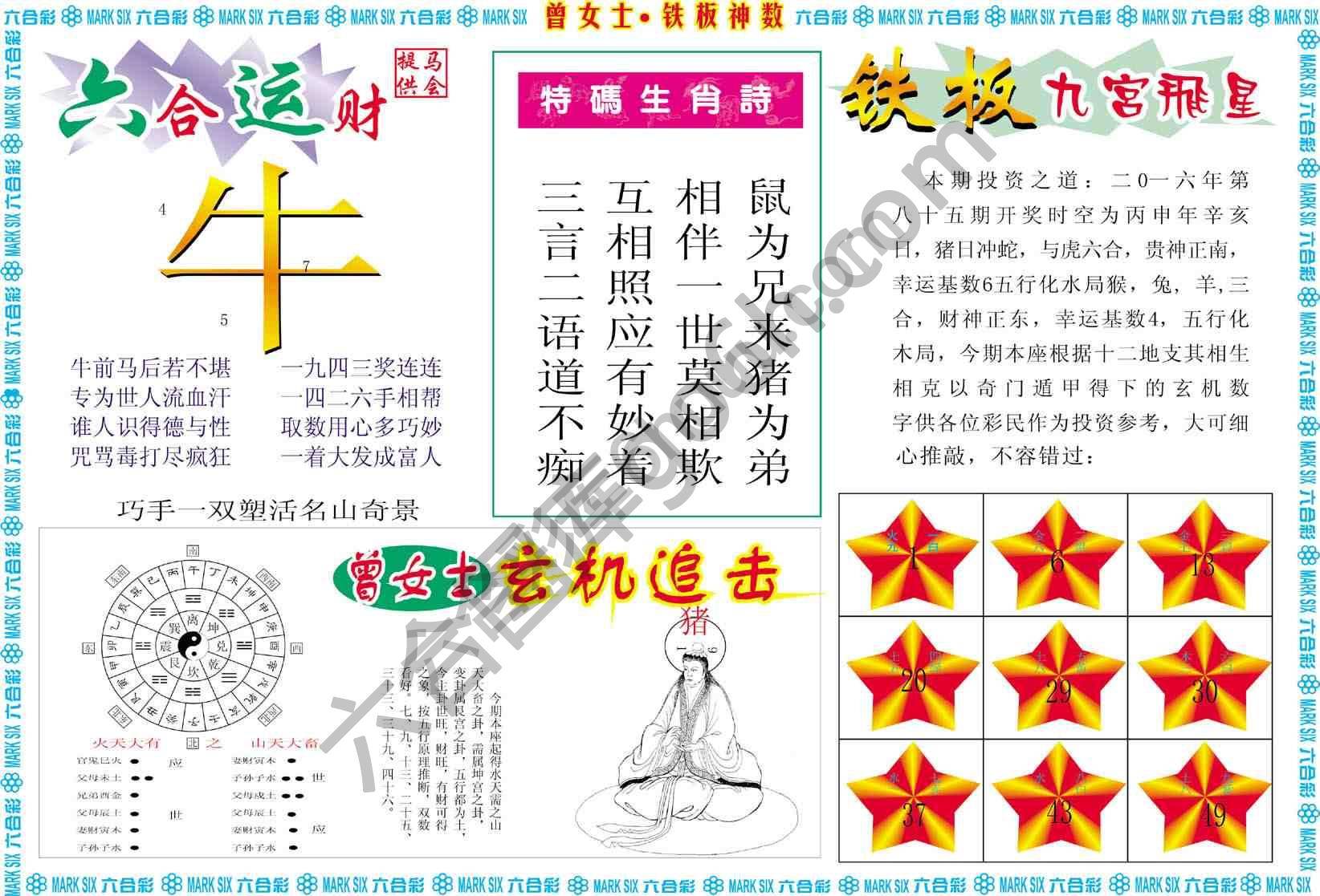 曾女士铁板神数